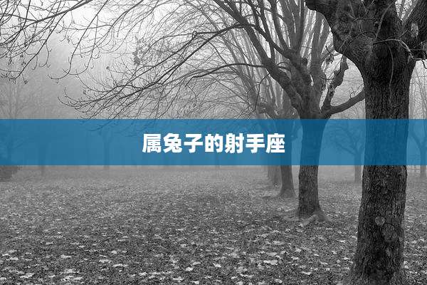 属兔子的射手座