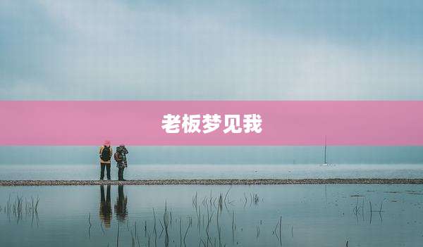 老板梦见我