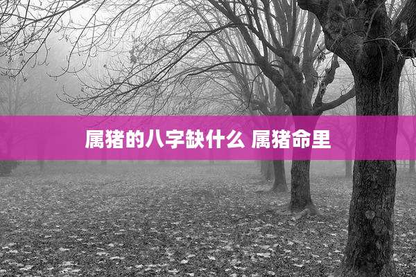属猪的八字缺什么 属猪命里