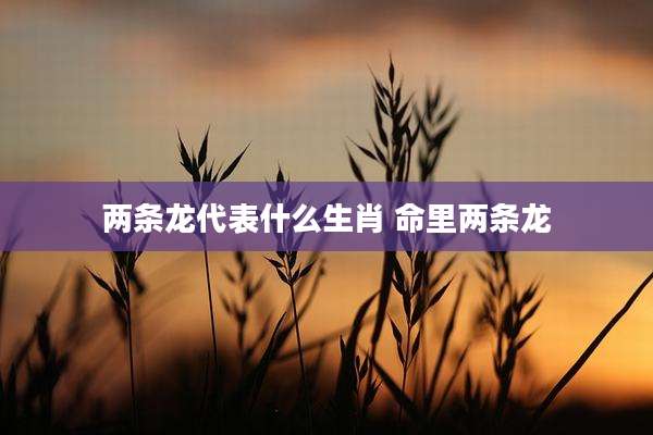 两条龙代表什么生肖 命里两条龙