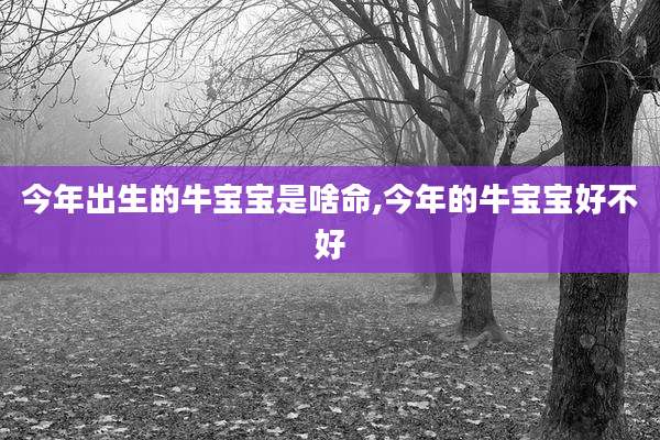 今年出生的牛宝宝是啥命,今年的牛宝宝好不好
