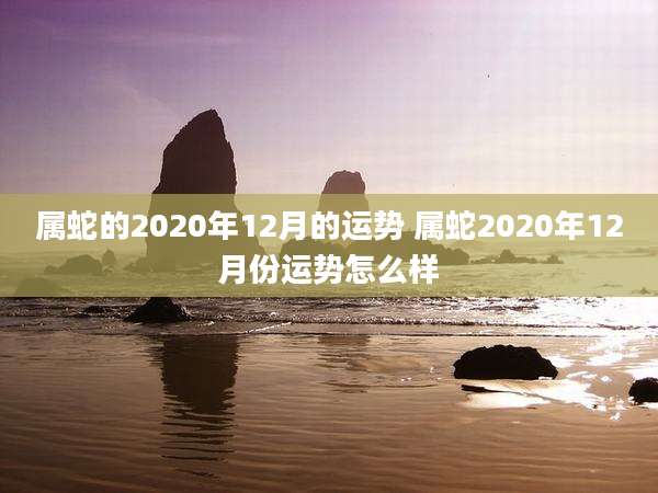 属蛇的2020年12月的运势 属蛇2020年12月份运势怎么样
