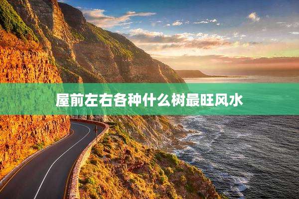 屋前左右各种什么树最旺风水