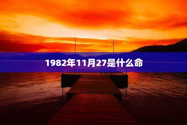 1982年11月27是什么命