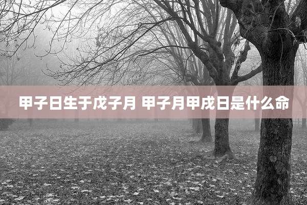 甲子日生于戊子月 甲子月甲戌日是什么命