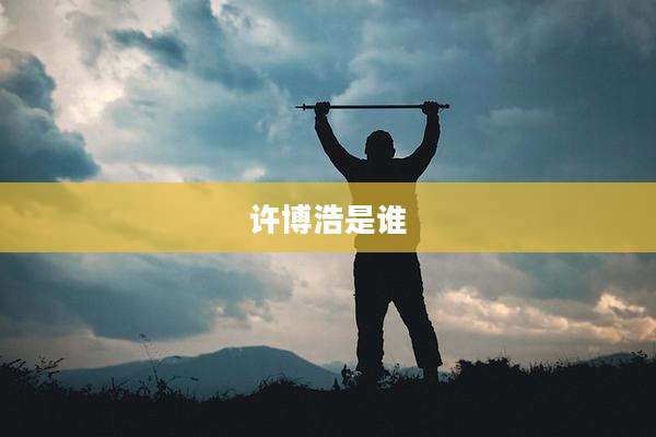 许博浩是谁