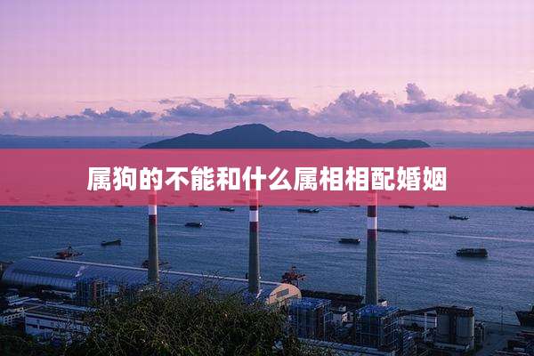 属狗的不能和什么属相相配婚姻
