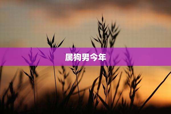 属狗男今年