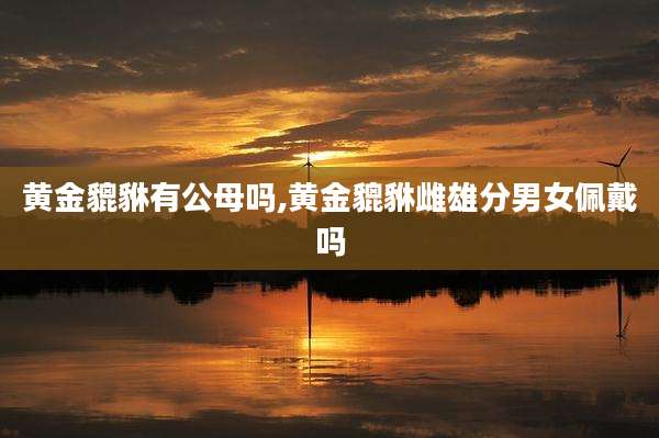 黄金貔貅有公母吗,黄金貔貅雌雄分男女佩戴吗