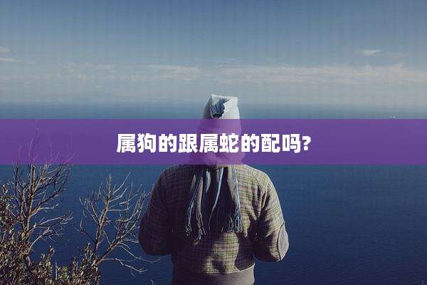 属狗的跟属蛇的配吗?