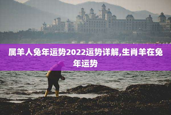 属羊人兔年运势2022运势详解,生肖羊在兔年运势