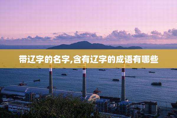 带辽字的名字,含有辽字的成语有哪些