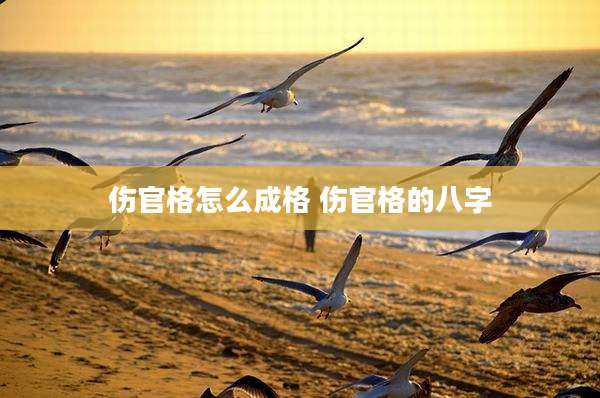 伤官格怎么成格 伤官格的八字
