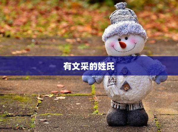 有文采的姓氏