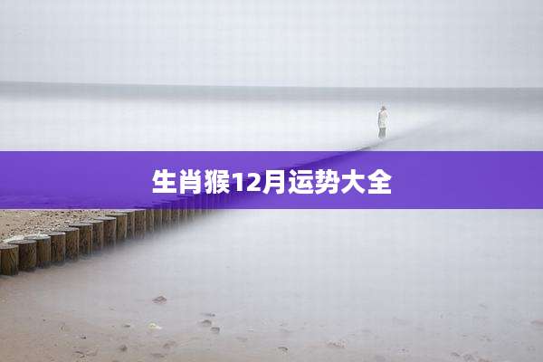 生肖猴12月运势大全