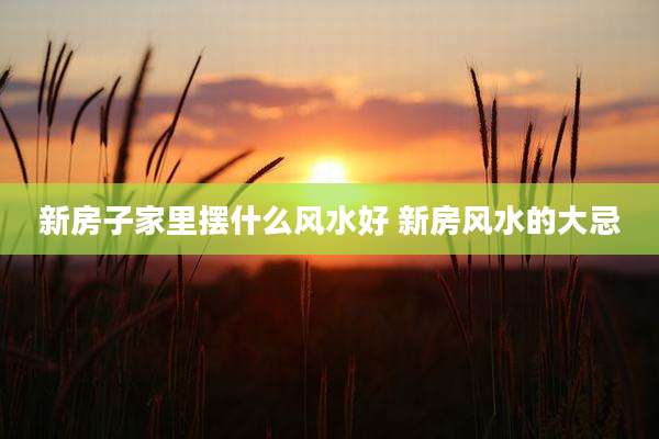 新房子家里摆什么风水好 新房风水的大忌