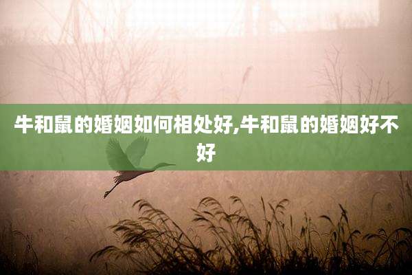 牛和鼠的婚姻如何相处好,牛和鼠的婚姻好不好
