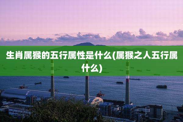 生肖属猴的五行属性是什么(属猴之人五行属什么)