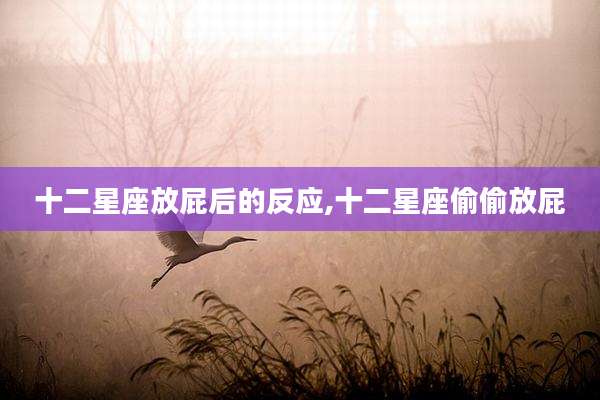 十二星座放屁后的反应,十二星座偷偷放屁