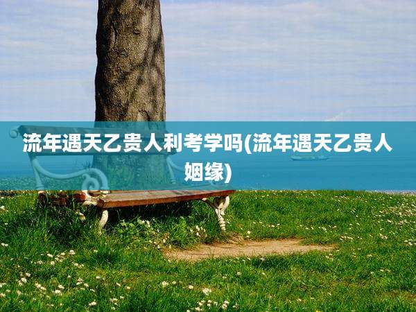 流年遇天乙贵人利考学吗(流年遇天乙贵人姻缘)