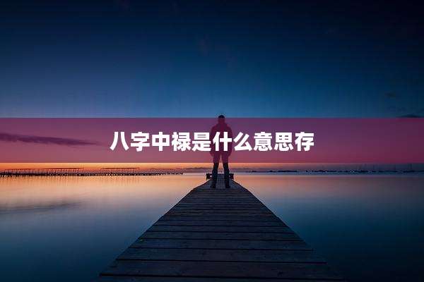 八字中禄是什么意思存