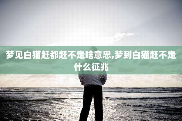 梦见白猫赶都赶不走啥意思,梦到白猫赶不走什么征兆