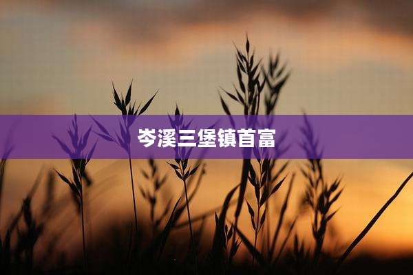 岑溪三堡镇首富