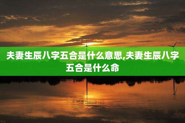 夫妻生辰八字五合是什么意思,夫妻生辰八字五合是什么命