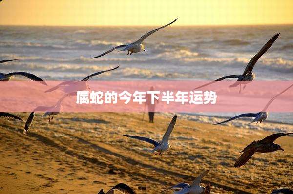 属蛇的今年下半年运势