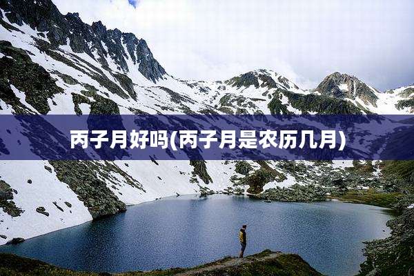 丙子月好吗(丙子月是农历几月)