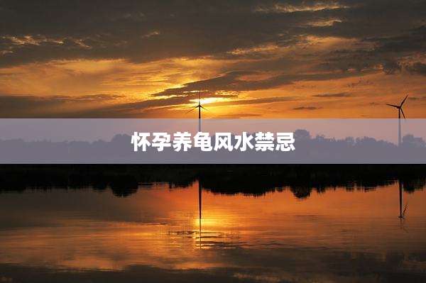 怀孕养龟风水禁忌
