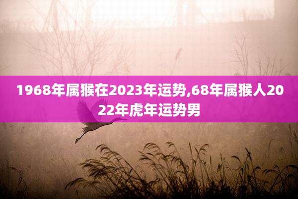 1968年属猴在2023年运势,68年属猴人2022年虎年运势男