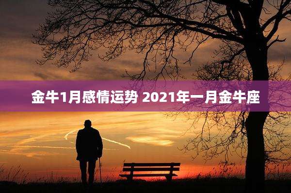 金牛1月感情运势 2021年一月金牛座