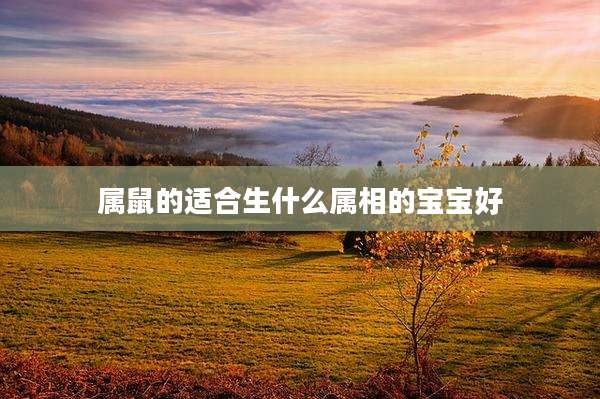 属鼠的适合生什么属相的宝宝好