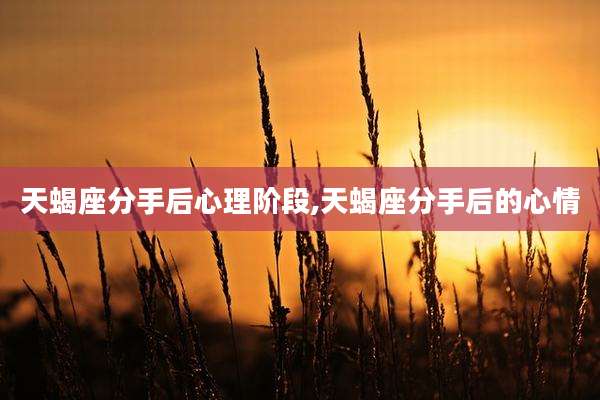 天蝎座分手后心理阶段,天蝎座分手后的心情