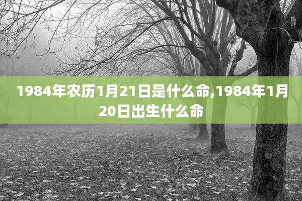 1984年农历1月21日是什么命,1984年1月20日出生什么命