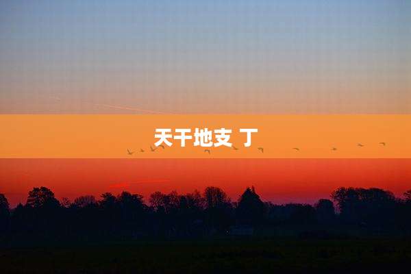 天干地支 丁