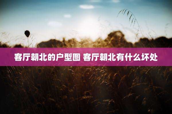 客厅朝北的户型图 客厅朝北有什么坏处