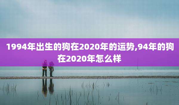 1994年出生的狗在2020年的运势,94年的狗在2020年怎么样