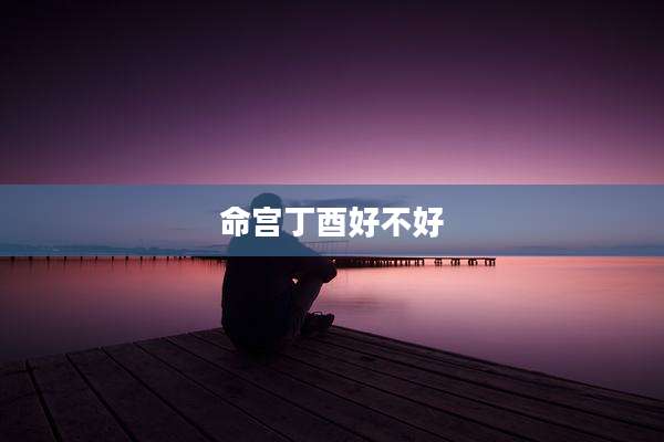 命宫丁酉好不好
