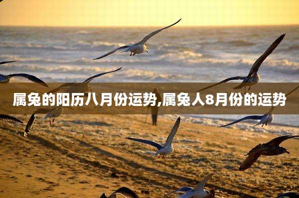属兔的阳历八月份运势,属兔人8月份的运势