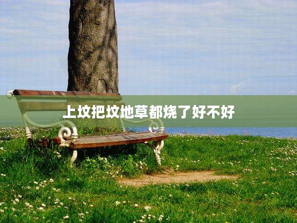 上坟把坟地草都烧了好不好