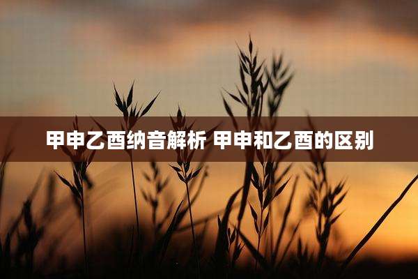 甲申乙酉纳音解析 甲申和乙酉的区别