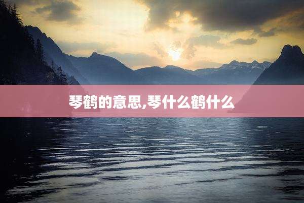 琴鹤的意思,琴什么鹤什么