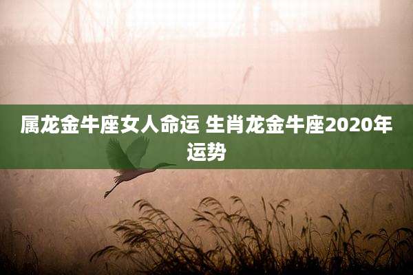 属龙金牛座女人命运 生肖龙金牛座2020年运势