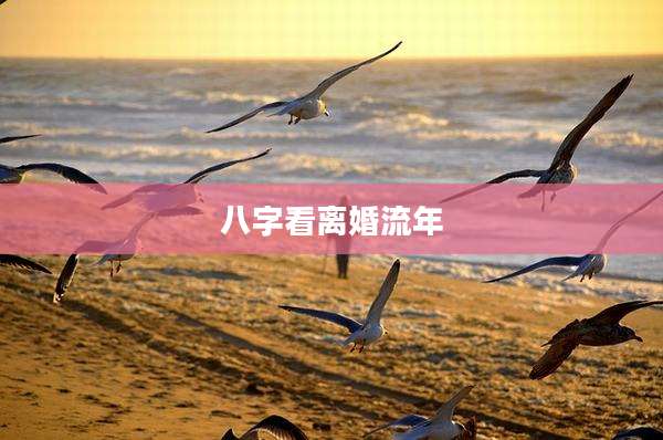 八字看离婚流年