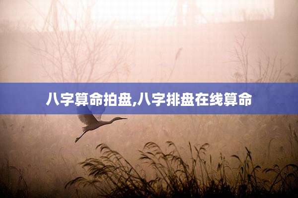 八字算命拍盘,八字排盘在线算命