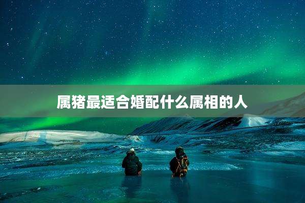 属猪最适合婚配什么属相的人