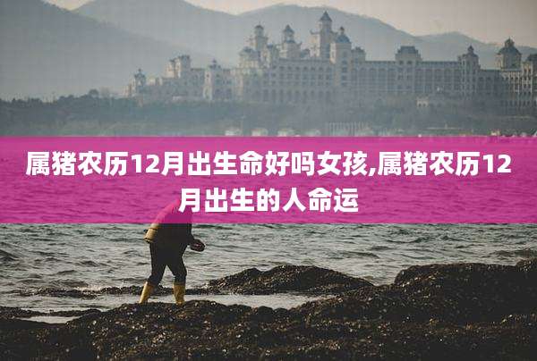 属猪农历12月出生命好吗女孩,属猪农历12月出生的人命运