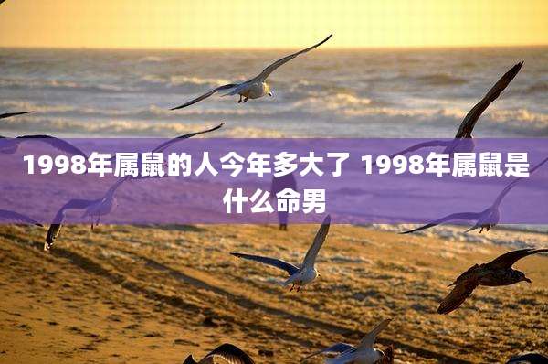 1998年属鼠的人今年多大了 1998年属鼠是什么命男